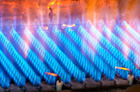 Allanshaugh gas fired boilers